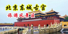 美女被jj暴操的网站中国北京-东城古宫旅游风景区